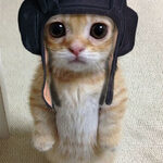 MISTERXXXX
