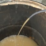 Bogotolanet