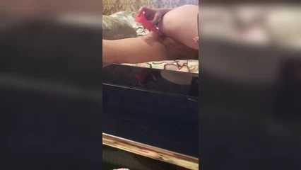 Попка привыкает к новой игрушке