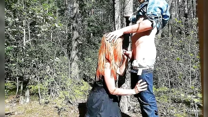 В сибирском лесу