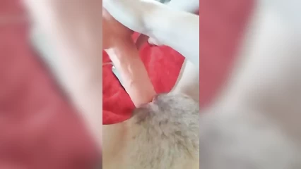 Тракх с резиновым членом