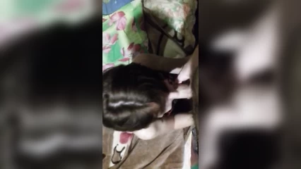 Похвалил за минет и поставил раком